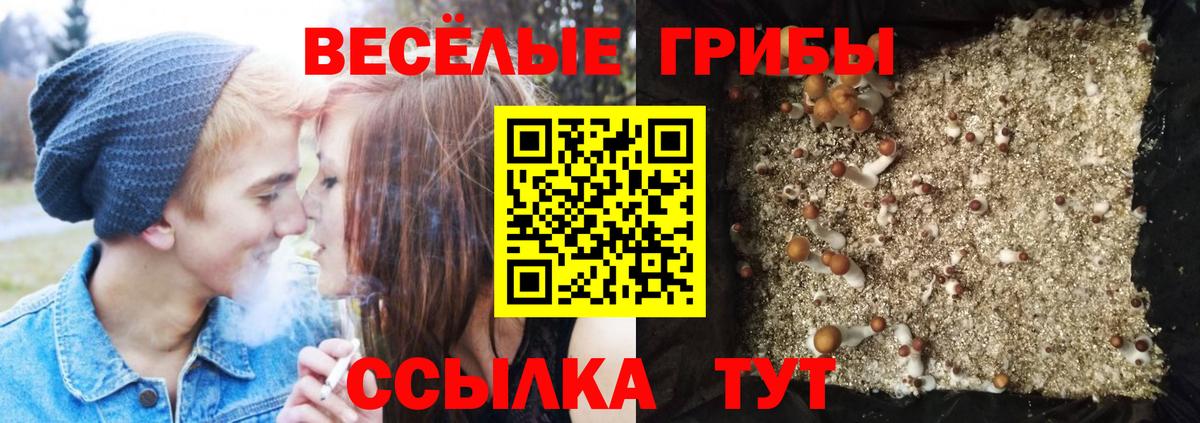 Галлюциногенные грибы прущие грибы  Псилоцибиновые грибы мицелий  Вход с VPN  Карачаевск 